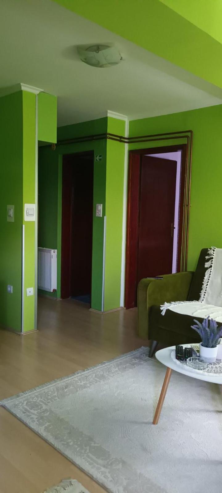 Apartman Gaga Appartement Pirot Buitenkant foto
